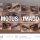 MOTUS et IMAGO